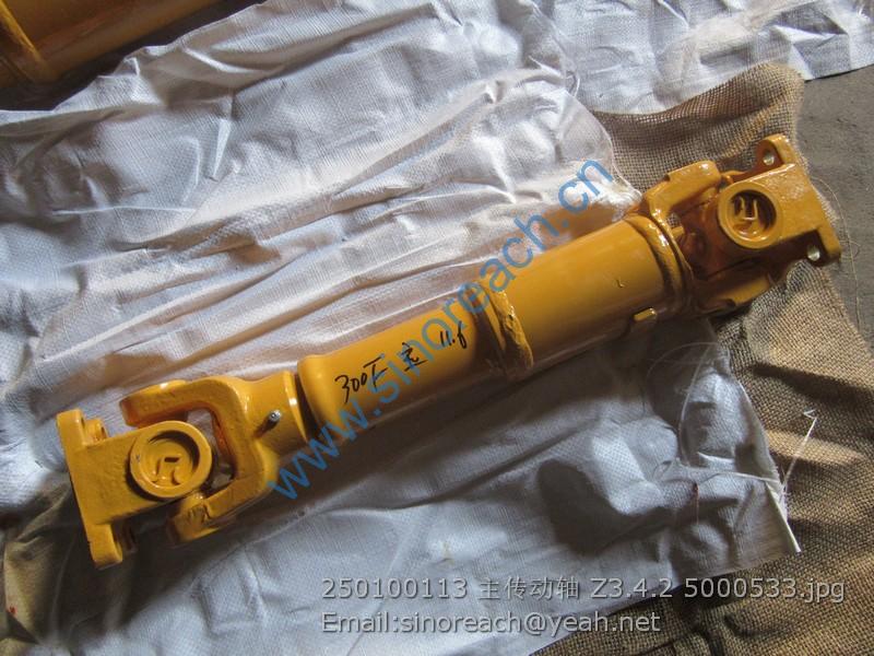 250100113 主传动轴 Z3.4.2 5000533