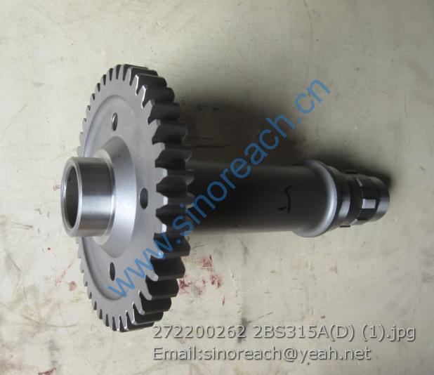 272200262 2BS315A(D) (1)