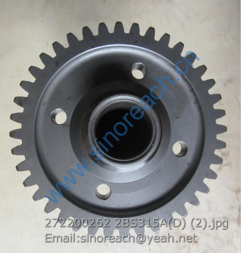 272200262 2BS315A(D) (2)