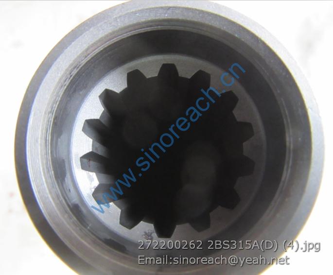 272200262 2BS315A(D) (4)