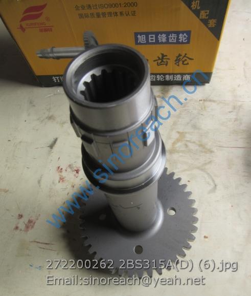 272200262 2BS315A(D) (6)