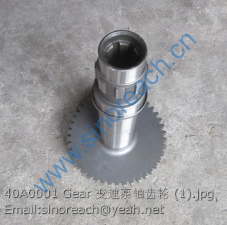 40A0001 Gear 变速泵轴齿轮 (1)