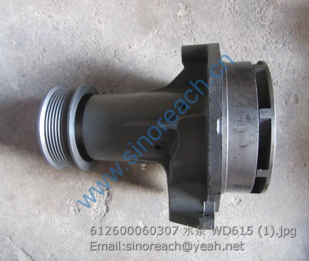 612600060307 水泵 WD615 (1)