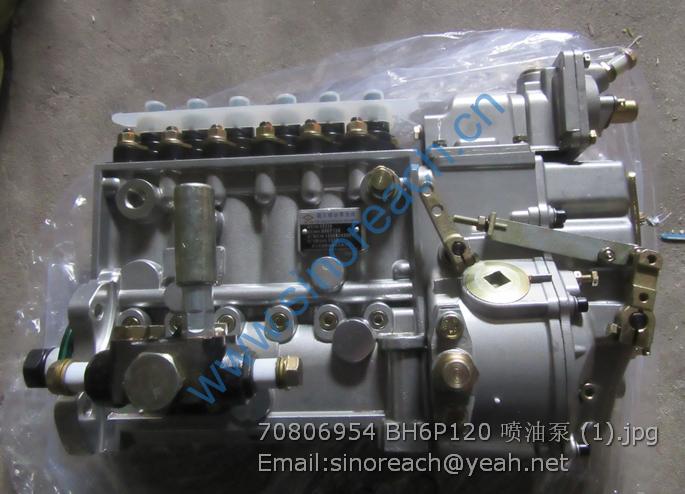 70806954 BH6P120 喷油泵 (1)