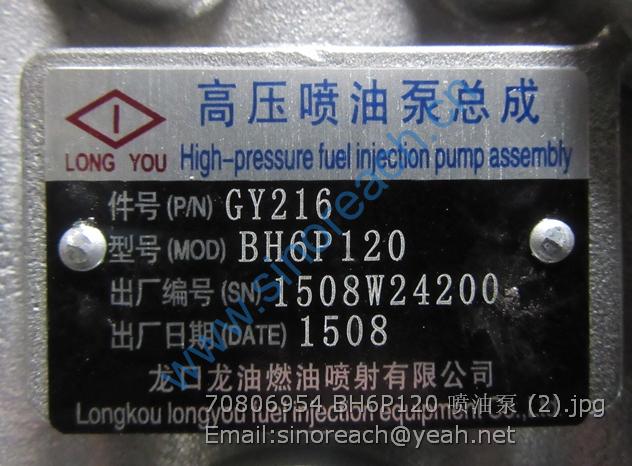 70806954 BH6P120 喷油泵 (2)