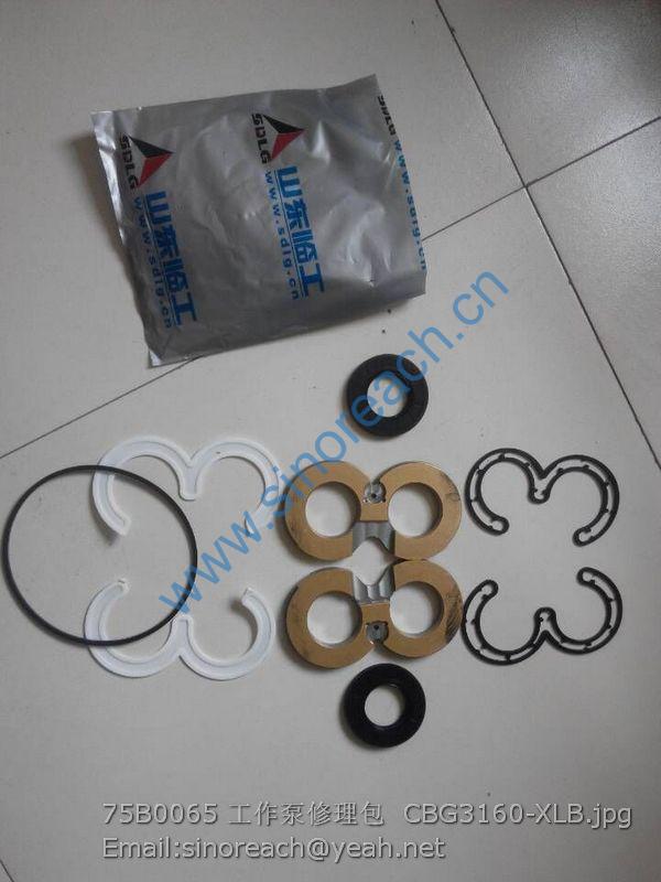75B0065 工作泵修理包 CBG3160-XLB