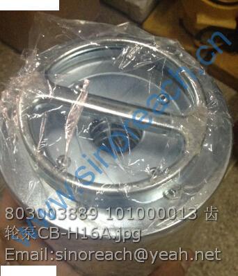 803003889 101000013 齿轮泵CB-H16A