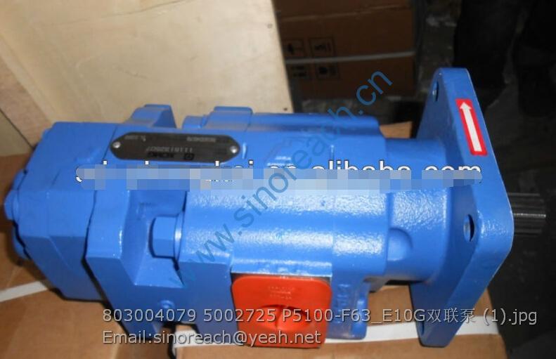 803004079 5002725 P5100-F63_E10G双联泵 (1)
