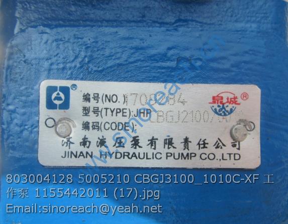 803004128 5005210 CBGJ3100_1010C-XF 工作泵 1155442011 (17)