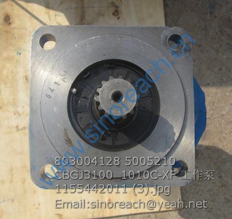803004128 5005210 CBGJ3100_1010C-XF 工作泵 1155442011 (3)