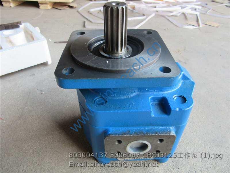 803004137 5006087 CBGJ3125工作泵 (1)