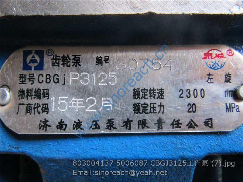 803004137 5006087 CBGJ3125工作泵 (7)