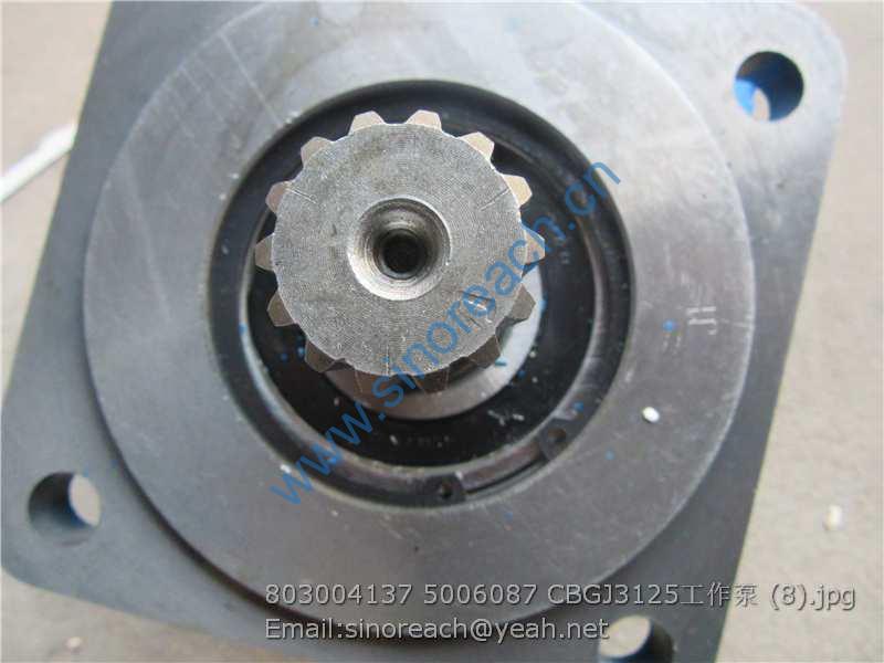 803004137 5006087 CBGJ3125工作泵 (8)