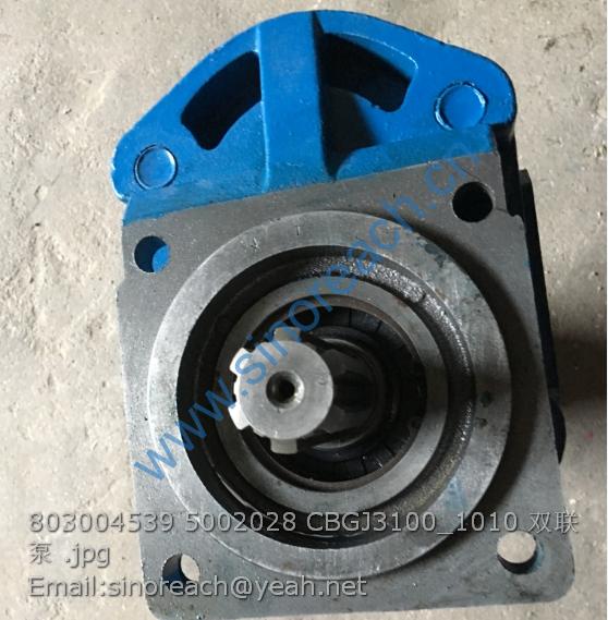 803004539 5002028 CBGJ3100_1010 双联泵