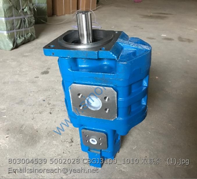 803004539 5002028 CBGJ3100_1010 双联泵 (1)