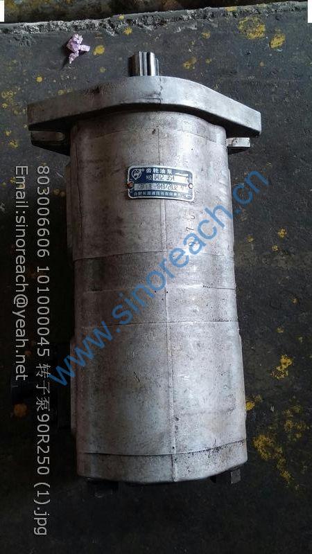 803006606 101000045 转子泵90R250 (1)