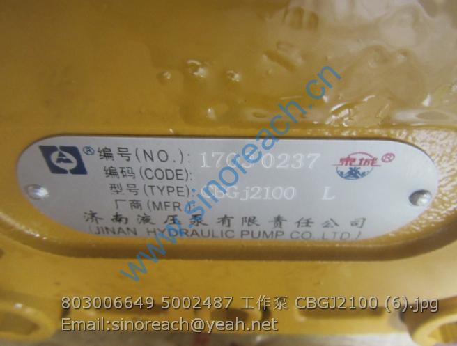 803006649 5002487 工作泵 CBGJ2100 (6)