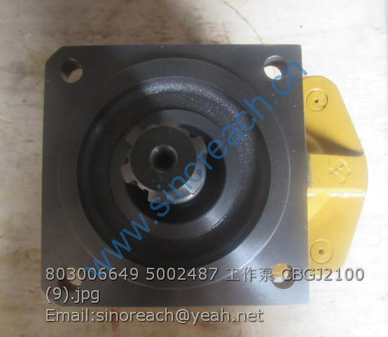 803006649 5002487 工作泵 CBGJ2100 (9)