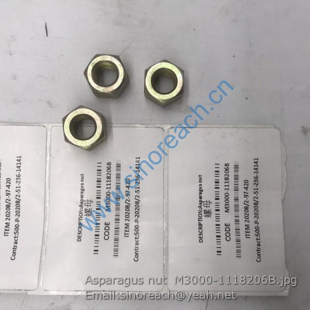 Asparagus nut M3000-1118206B
