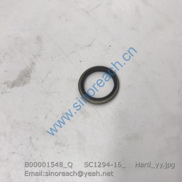 B00001548_Q SC1294-16_ Hard_yy