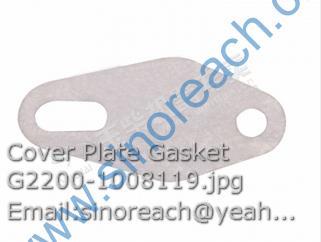 Cover Plate Gasket G2200-1008119