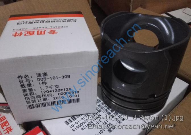 D05-101-30_B Piston (1)