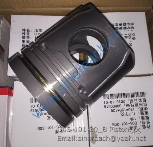 D05-101-30_B Piston