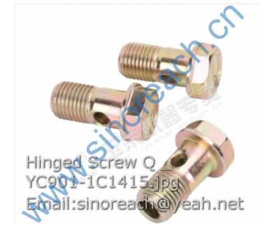 Hinged Screw Q _ YC901-1C1415