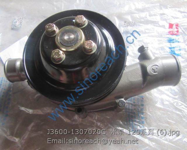 J3600-1307020C 水泵 125系列 (6)