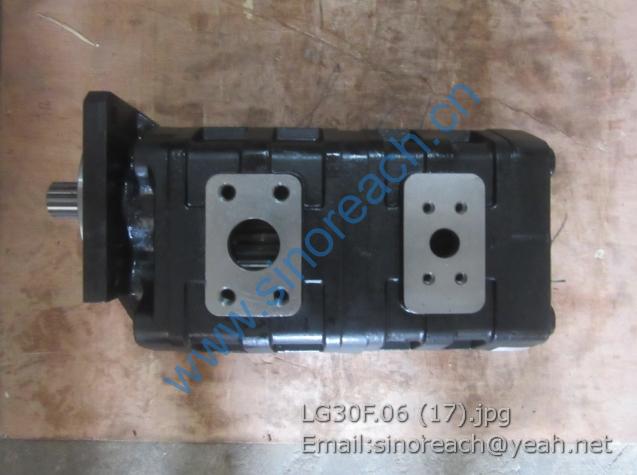 LG30F.06 (17)