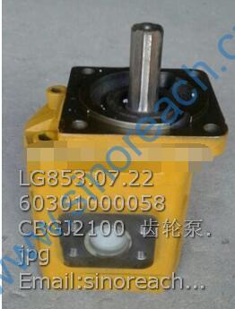LG853.07.22 60301000058 CBGJ2100 齿轮泵