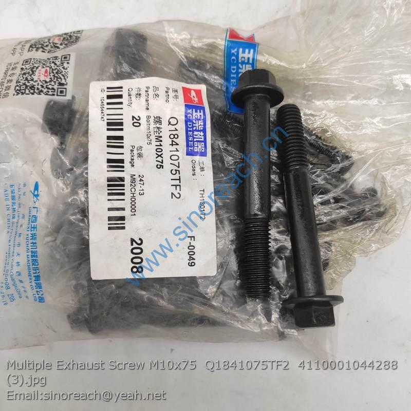 Multiple Exhaust Screw M10x75 Q1841075TF2 4110001044288 (3)