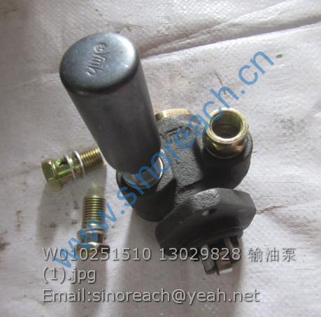 W010251510 13029828 输油泵 (1)