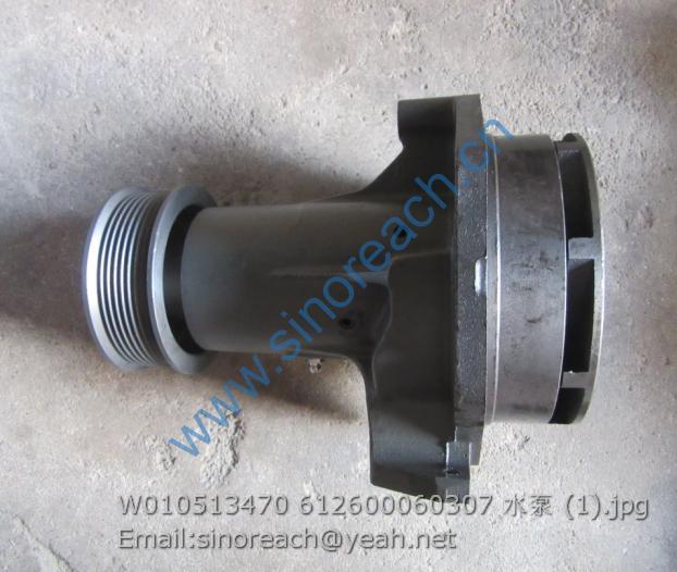 W010513470 612600060307 水泵 (1)