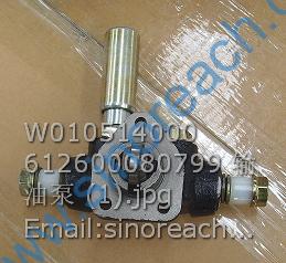 W010514000 612600080799 输油泵 (1)