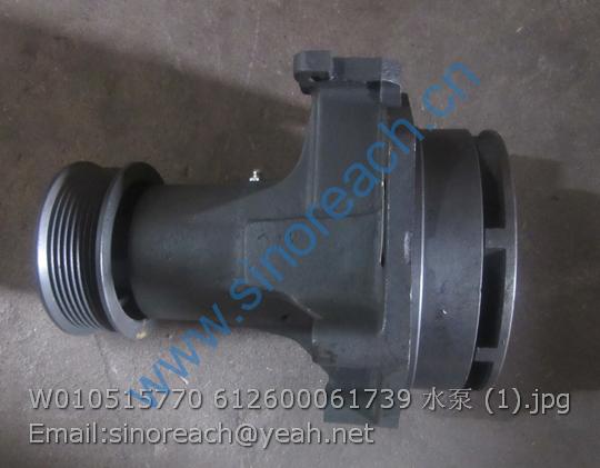 W010515770 612600061739 水泵 (1)