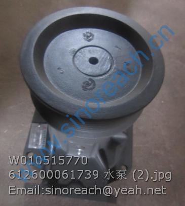 W010515770 612600061739 水泵 (2)