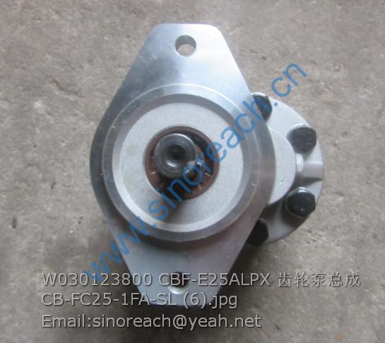 W030123800 CBF-E25ALPX 齿轮泵总成 CB-FC25-1FA-SL (6)