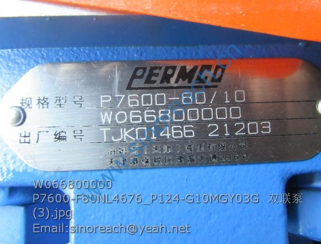 W066800000 P7600-F80NL4676_P124-G10MGY03G 双联泵 (3)