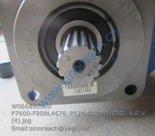 W066800000 P7600-F80NL4676_P124-G10MGY03G 双联泵 (4)