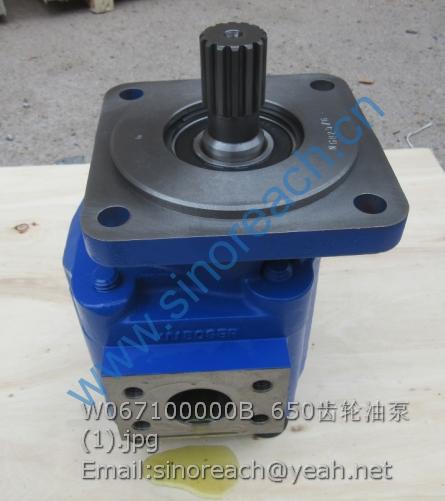 W067100000B 650齿轮油泵 (1)