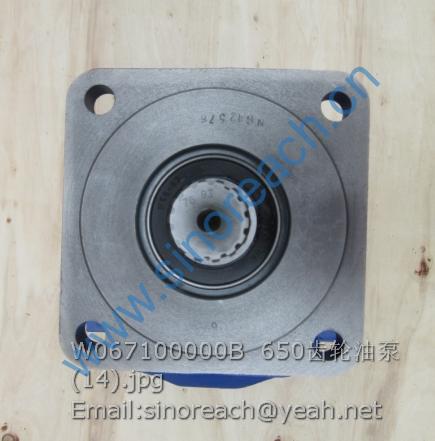 W067100000B 650齿轮油泵 (14)