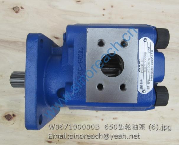 W067100000B 650齿轮油泵 (6)
