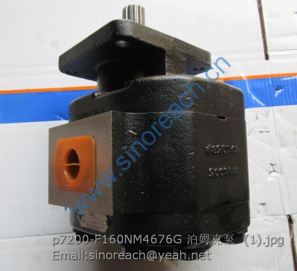 p7200-F160NM4676G 泊姆克泵 (1)