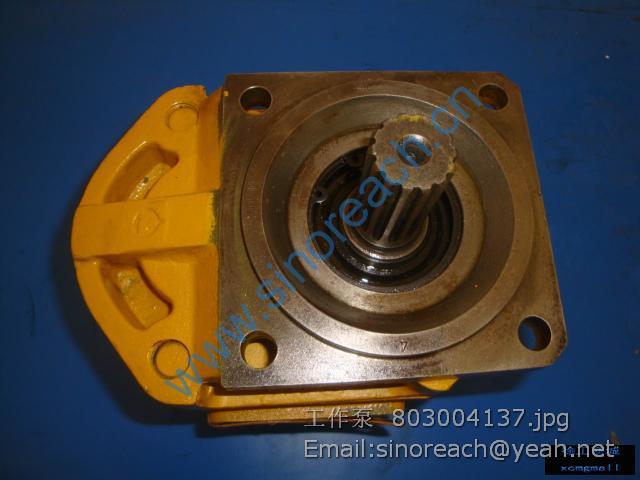 工作泵 803004137
