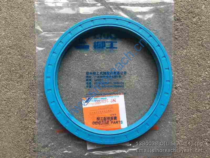 13B0038 OIL SEAL (4)