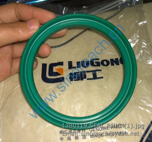 13B0119 SEAL RING (1)