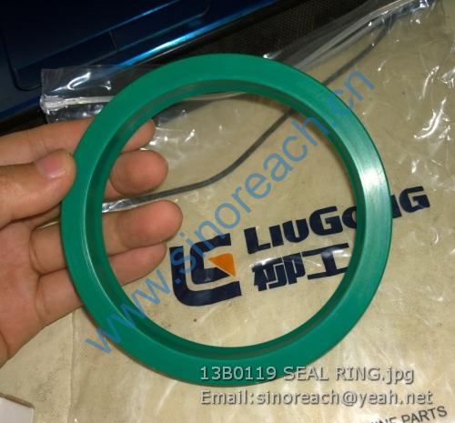 13B0119 SEAL RING