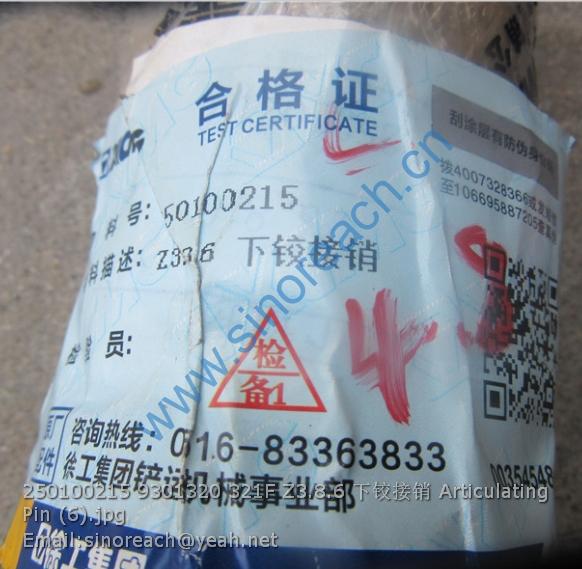 250100215 9301320 321F Z3.8.6 下铰接销 Articulating Pin (6)