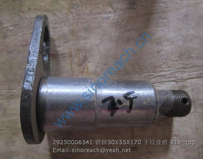 29250006541 销轴50X55X170 下铰接销 918